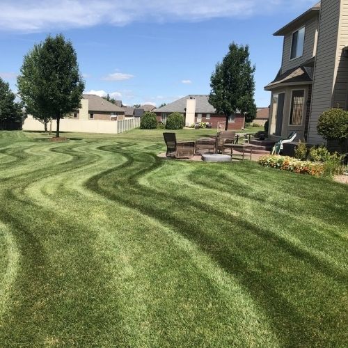 Shrub Pruning In Southeast Michigan