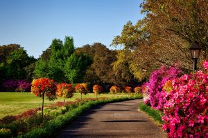 Mi Cutting Edge Landscaping